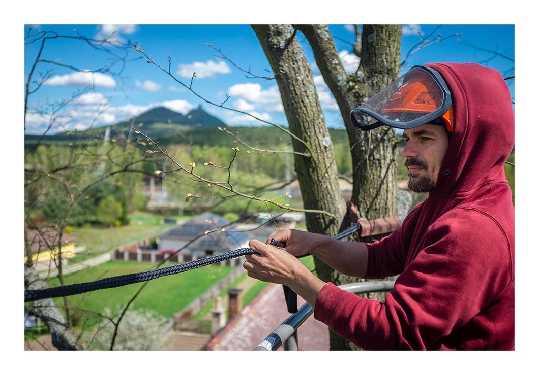 Franta při arboristické práci ve stromě